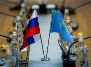ФНС России и делегация Казахстана обсудили сотрудничество в области цифровизации налогового администрирования